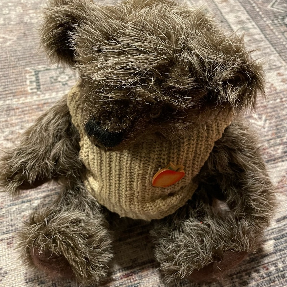 Teddy bear with sweater vest and apple pin